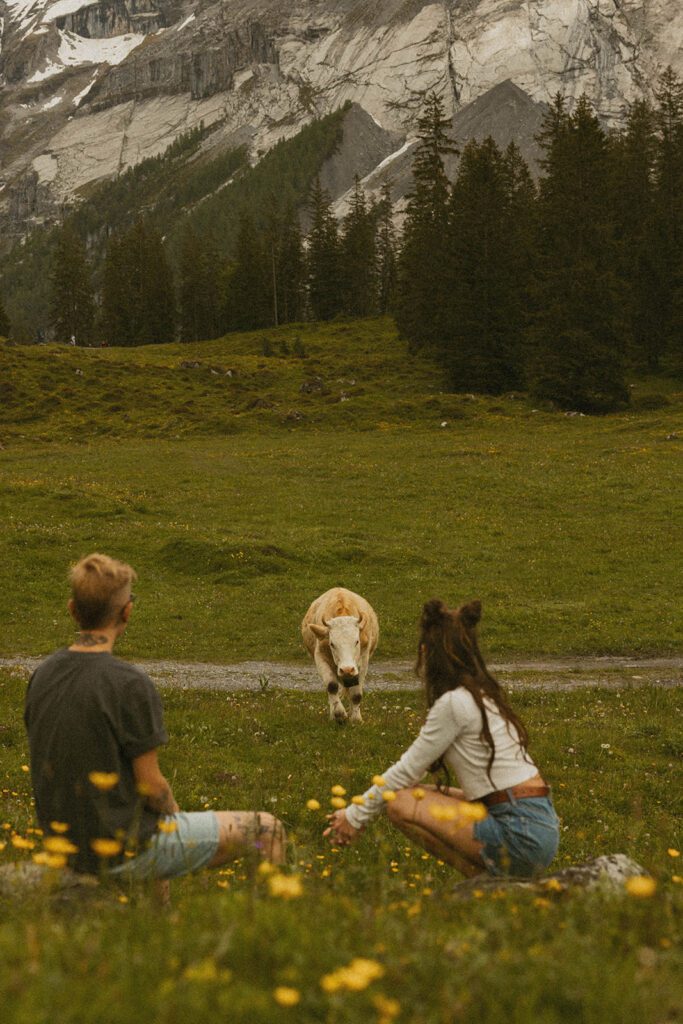 Queer engagement pictures in the Swiss Alps with cows