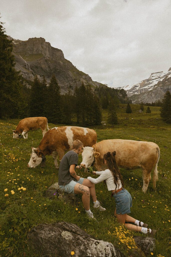 Queer engagement pictures in the Swiss Alps with cows