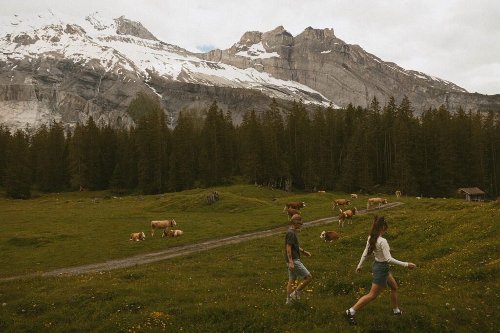 Queer engagement pictures in the Swiss Alps with cows